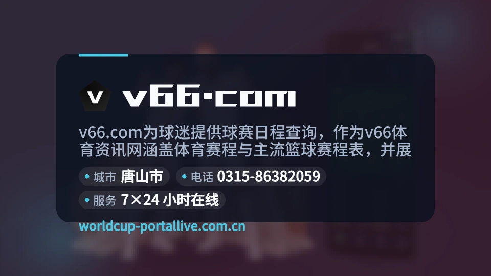 关于v66.com
